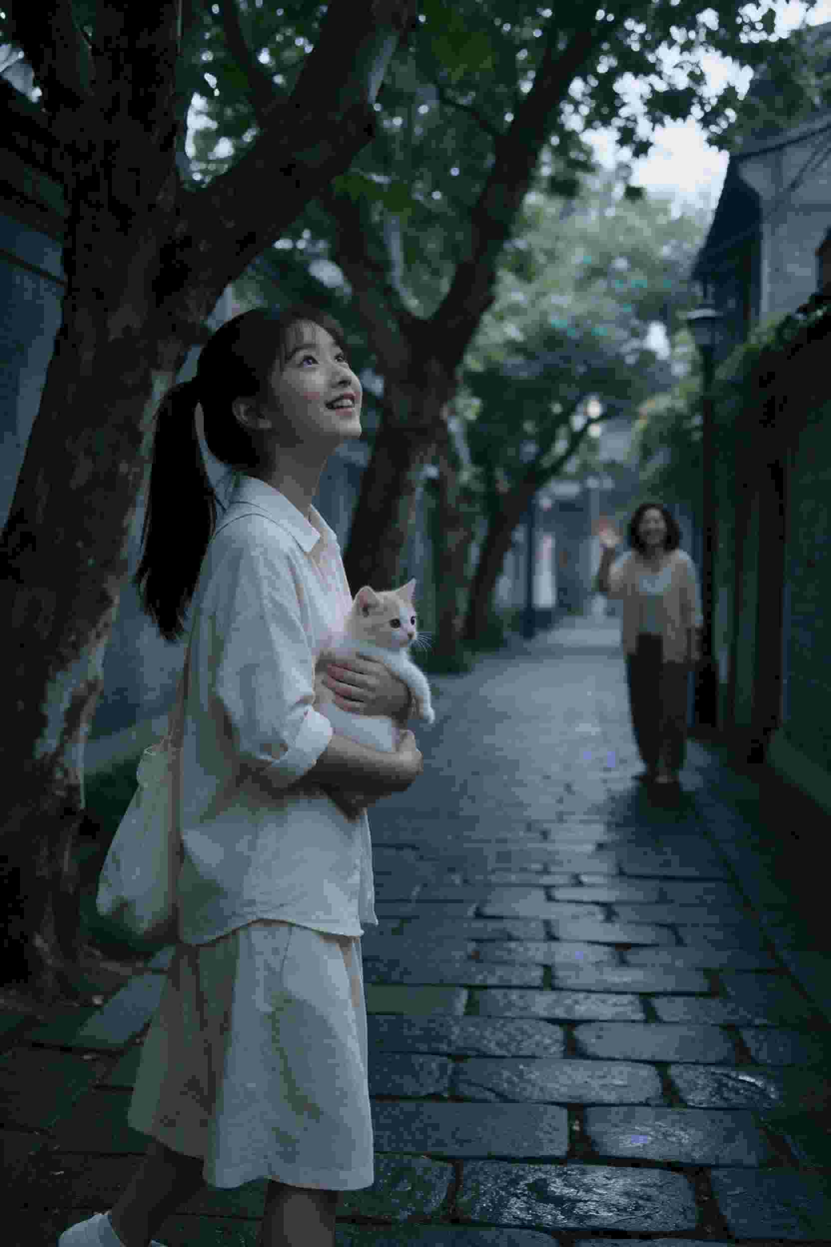 1996杨敏思版